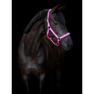 Licol pour cheval HorseGuard Malva halter