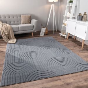 Paco Home - Tapis Salon Chambre Adulte Poils Ras Scandinave Motif Boho Motif Geometrique 240x340 cm, Anthracite 4