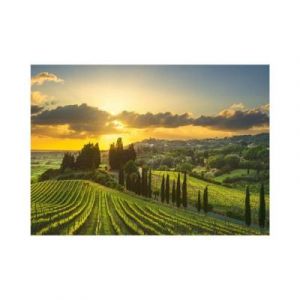 Dino Puzzle 500 pièces XL : Vignobles de la Maremme