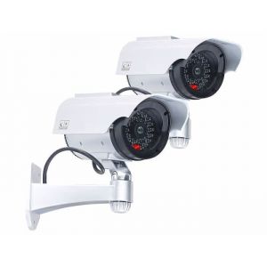 Image de 2 cam&eacute;ras de surveillance solaires factices avec signal LED