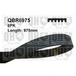 Quinton Hazell Courroie trapézoïdale à nervures (d'accessoires) QBR6975 d'origine