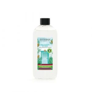 Esteban Paris Recharge bouquet parfum&eacute; 200ml eau d'agave et coco