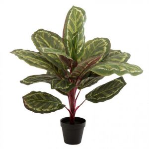 Prix Plante Artificielle en Pot Peacock 60cm Vert