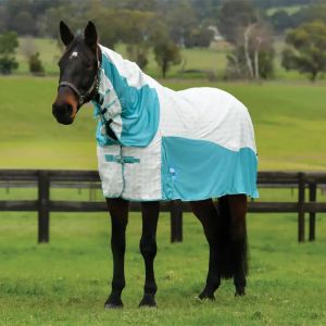 Couverture d'extérieur pour cheval avec couvre-cou détachable Kool Coat Airstream II 240g