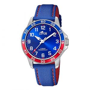 Lotus Analogique 18787/1