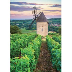 Nathan Puzzle Moulin Sorine - Vignoble de Santenay - Bourgogne