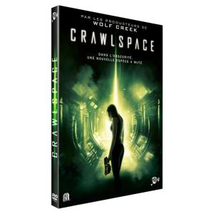 Crawlspace
