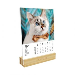 Image de DRAEGER PARIS | Calendrier sur socle Chats 2024 |12 x 16,5 cm | Année 2024 | 7 langues | Calendrier décoration bureau mensuel| Socle en bambou | Papier certifié FSC | encres végétales