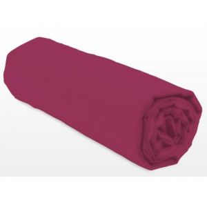 Lovely Home Drap-housse - LH71611 - 160x200+30 cm - Fuchsia