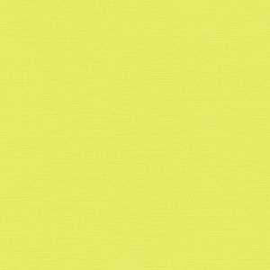 Bazzill basics paper Papier scrapbooking Bazzill 30 x 30 cm - Texture - Limeade (vert)
