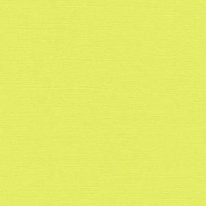 Bazzill basics paper Papier scrapbooking Bazzill 30 x 30 cm - Texture - Limeade (vert)