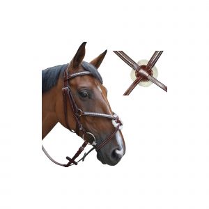 Lexington Bridons équitation tucson croisé