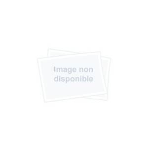 Image de Menzzo Lit Coffre Songe + Sommier Velours Taupe 160cm