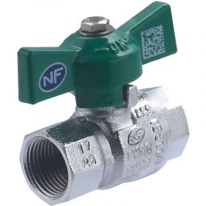 Noyon & Thiebault Vanne NF &agrave; Manette Papillon - Femelle Femelle 12x17 (3/8)