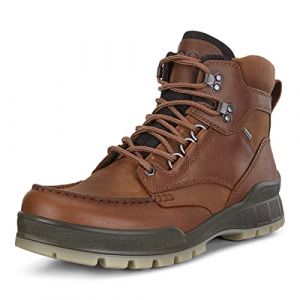Ecco Track 25 MID GTX Chaussures d'ext&eacute;rieur Homme, Marron Bison 52600, 40 EU