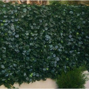 Image de Jet7Garden Haie végétale Artificielle 'Feuillage Duo' H 1m ou 1m50 Haiejet7FD_7 - Longueur : 12 m Vert foncé/Vert Tendre