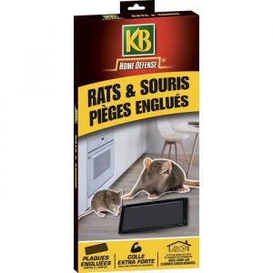KB HOME DEFENSE - Piège à glu rats et souris x2