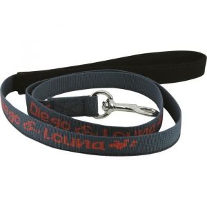 DI & LOUNA Laisse en nylon 150 cm Anthracite Pour chien