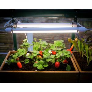 Canopia Brighton lumiere de croissance Led Blanc