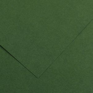 Canson 200040068 - Feuille Iris Vivaldi 50x65 120g/m², coloris vert sapin 31