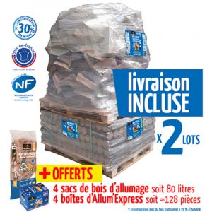 Lot de 2 Packs D&eacute;couverte Woodstock soit 80 packs de b&ucirc;ches densifies + 2 600 dm de b&ucirc;ches 30 cm + allumage offert