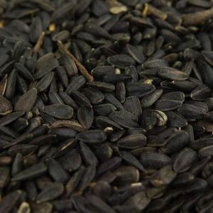 Graines de tournesol noir BusyBeaks - nourriture riche en huile pour oiseaux sauvages de jardin occupés 20kg