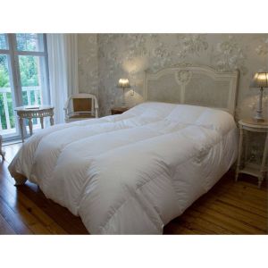 Image de Castex Couette hiver oie 90% duvet (240 x 260 cm)