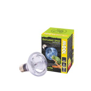 Komodo Lampe pour terrarium Neodymium