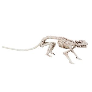 Ruedelafete Squelette de rat 35cm