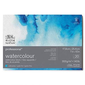 Winsor & Newton Papier aquarelle 20 feuilles 300 g/m² fin 17,8 x 25,4 cm