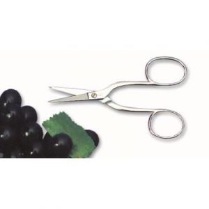 Ciseau professionnel &agrave; oursins ou &agrave; raisins. Lame tr&egrave;s pointue en inox. L 155 mm.