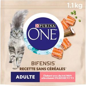 Purina Adulte sans Cr&eacute;r&eacute;ales Saumon 1,1kg Croquettes pour Chats Adultes - Lot de 6