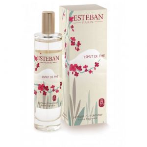 Esteban Paris Vaporisateur d'ambiance 75 ml