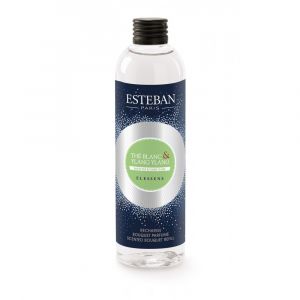Esteban Paris Recharge bouquet 250ml