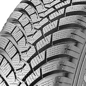Falken EUROWINTER HS01 - 235/45 R18 98V