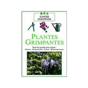 Plantes Grimpantes