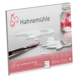 Hahnemühle Papier Harmony Watercolour, 40 cm x 50 cm, 300 g/m², Bloc collé 4 côtés, 1. Grain fin