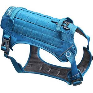 Image de Kurgo RSG County - Harnais pour chiens, compatible MOLLE - petit, bleu côtier