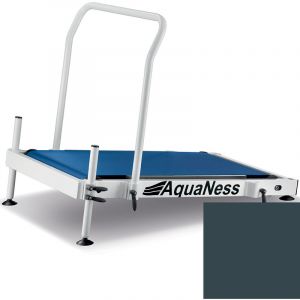 Aquaness Tapis de marche aquatique t1 gris ardoise