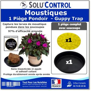 1 Guppy Trap + coupelle, Piège Pondoir à Moustiques, sans Adhésif, Médaille d'argent Concours Lépine 2023