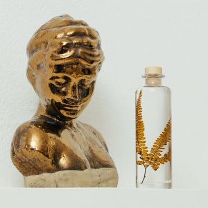 Théophile Berthon Plante immergée Fougère Felci ambre H21