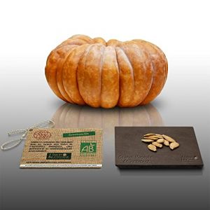 Image de 10 Graines Bio À Semer - Le Grenier D'abondance - Courge Musquee De Provence - Certifié Ab - Curcurbita Maxima