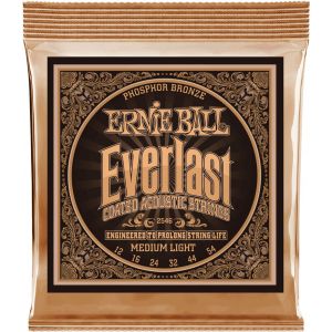 Ernie Ball EB2546 12-54 Everlast Coated phosphore bronze Medium Light