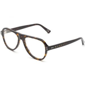 MARNI Unisex Blue Ridge Mountains Havana 3627 WGA Cadres Vista Acétate Havane Pilote