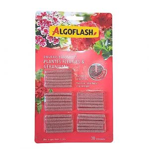 Algoflash Engrais géraniums et plantes fleuries (30 bâtonnets)