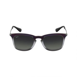 Image de Ray-Ban RB 4221 6223/11