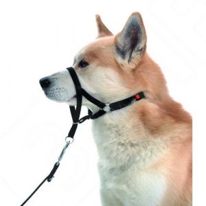 Karlie Licol master de contrôle pour chien taille 6