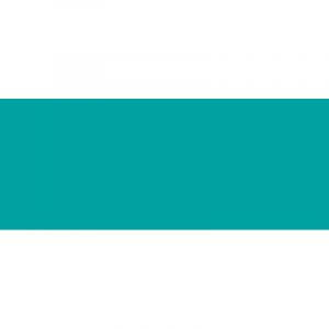 Royal Talens Encre de couleur Ecoline de, 30 ml avec pipette, Vert bleu