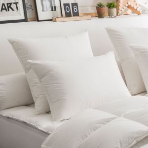 Dodo Oreiller 50% Duvet ECO-RESPONSABLE FERME - 65/65 - Blanc