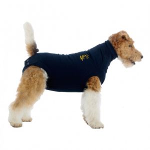 Image de Mps Medical Pet Shirt pour Chiens, XXXXS, Bleu